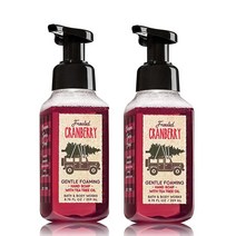 배쓰앤바디웍스 Bath & Body Works 프로스티드 크랜베리 핸드 솝 젠틀 포밍 홀리데이 2개 팩