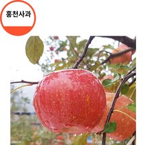 홍천사과 고랭지사과 아리수사과5kg 18/19 사과따기체험 사과다이어트 사과빵 사과잼 사과쥬스, 상세페이지 참조