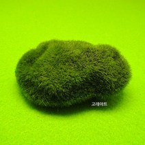 이끼스톤 모조이끼, 1개