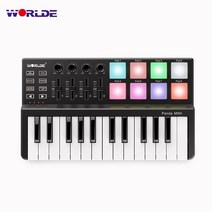 WORLDE Panda MINI 25건반 마스터키보드 미디콘트롤러, 트리거 패드 LED 있음