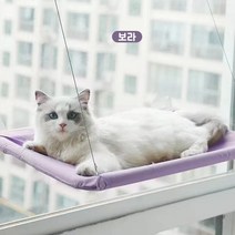 미미문구점 고양이 윈도우 해먹, 보라