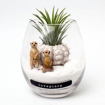 물방울 속 동물정원 테라리움 DIY KIT, 표범, Sea urchin type