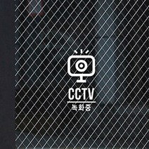 루리앤메리 CCTV 녹화중 보안 스티커 매장스티커 SIGN DECO, 02 흰색