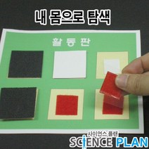 엑스사이언스 초등 재미있는 과학실험 [우리의 몸] 내 몸으로 탐색, 5인