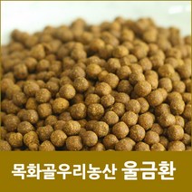 건강드림 울금환 500g