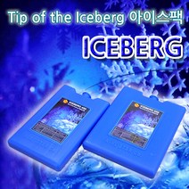 수지씨앤엘 아이스버그 아이스팩 450ml, 1개, 1개