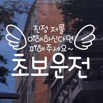 [KT알파쇼핑]자동차스티커_타이포 진정저를 초보운전(화이트), 화이트_색상_상세페이지참조