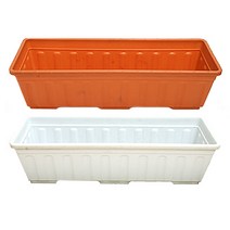 남영 신초화박스, 갈색