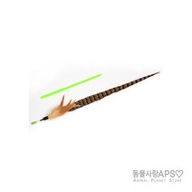 펫모닝 스윙캣 꿩깃털 (pmc-350) 본상품선택, 1개