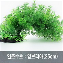 PRFISH 암브리아, 1개, 대 (27cm), 1개