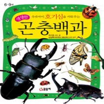 [글송이] 우리 아이 호기심을 키워 주는 생생한 곤충백과 : 6~9세 (어린이 과학백과 2
