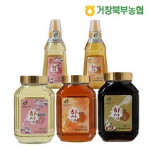 거창북부농협 하성벌꿀 꿀, 1개, 하성아카시아꿀2kg