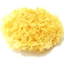 갑당약초 흰목이버섯 은이버섯 500g, 1봉
