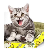 쥬쥬베 캣물결 스크레쳐 S자 평판형, 혼합 색상