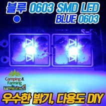 0603 초미니 SMD LED 1.6x0.8mm 극소형 (블루/DIY)