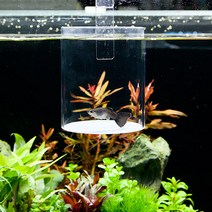 지존 걸이식 원형 부화통, 1개, 소