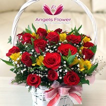 [엔젤스플라워] 축하 꽃바구니 공기정화 관엽식물 꽃배달서비스, F07_장미 한가득 일반형