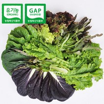 푸르젠 당일 수확 발송 유기농 모듬 쌈채소(야채), 1개, 1kg