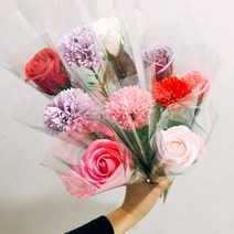 다니엘라 카네이션 장미 비누꽃 한송이, 카네이션-연핑크
