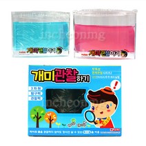 팬시로비 개미관찰하기 개미키우기 영재관찰시리즈2, 파랑