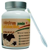 1+1 수제명가 웰펫 초유 앤 유산균 반려동물 영양제, 100g, 1개