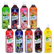 한국데코로 하늘샘 흑석류, 1개(1020ml)