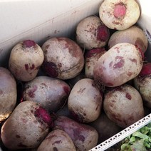 국내산 비트뿌리 레드비트, 4kg, 1개