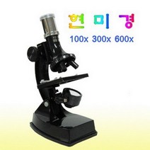 현미경(600배)