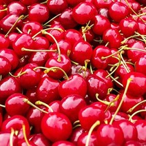 [엔피솝] 캔들향오일 21종 DIY 향수 디퓨저 비누 화장품만들기, 17.체리F.O_10ml