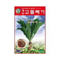 제일고들빼기씨앗 1000립, 1개