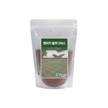 양잔디씨앗 켄터키블루그라스 500g