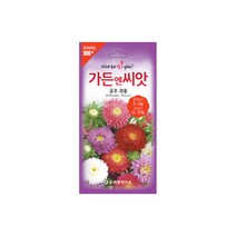 수입야생화씨앗 100선 공주 과꽃 100립