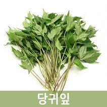 두리반농산 신선한 쌈당귀 1kg, 1박스