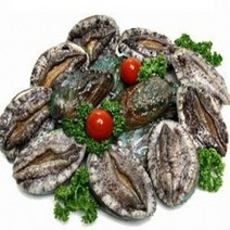 (당일발송 친환경포장) 대전복 1kg(11미~12미), 1kg, 1kg(11~12미), 1kg(11~12미)