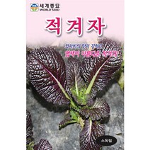 적겨자 겨자씨앗 겨자 씨앗 ( mustard seed 2000알 )