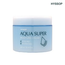 히솝 아쿠아 슈퍼 모이스춰 크림 300ml, 1개