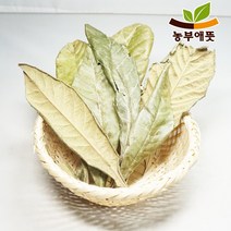 농부애뜻 비파엽 100g 국산, 1팩