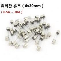 유리관 휴즈 6x30mm 0.5A~30A 13종류 퓨즈 FUSE, 10A