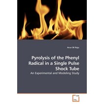 Pyrolysis of the Phenyl Radical in a Single Pulse Shock Tube Paperback, VDM Verlag