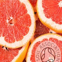 커풋(영국) 그레이프프룻100ml유기농(Grapefruit Essential Oil 에센셜오일, 1개, 50ml