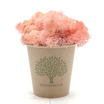스칸디아모스 11색상! 천연이끼 공기정화!, 15g 스칸디아모스-핑크