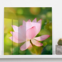 꾸밈 부귀의 상징 연꽃 아크릴액자 ch873, 타입5