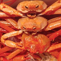 산지직송 동해 홍게 붉은대게 조업 입항 당일 생물 자숙(찜), 1박스, 12_홍게 프리미엄형 3kg 6~10마리(찜자숙)