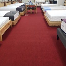 아름매트 [인테리어] 고급 방염 루프롤카페트 120폭 180폭, 3.GS503