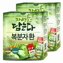 조은약초 프리미엄 복분자환 스틱 60포 x 3g