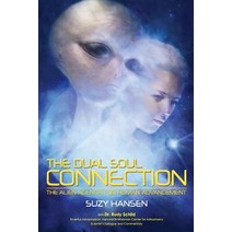 The Dual Soul Connection: The Alien Agenda for Human Advancement Paperback, Skylight Books