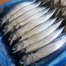 자갈치닷컴 노르웨이 간고등어(대자) 34cm전후 40마리 고등어