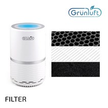 그린루프트 프리미엄 공기청정기 탁상용 DGP-3100, 복합 H13 HEPA+ FILTER