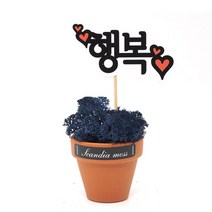 스칸디아모스 천연이끼 공기정화 메세지픽 독일토분, 행복 독일토분 모스-클래식블루