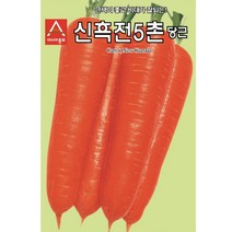 아시아종묘 당근씨앗 신흑전5촌당근 (80g), 1개